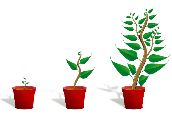 basic stages of website growth for leads